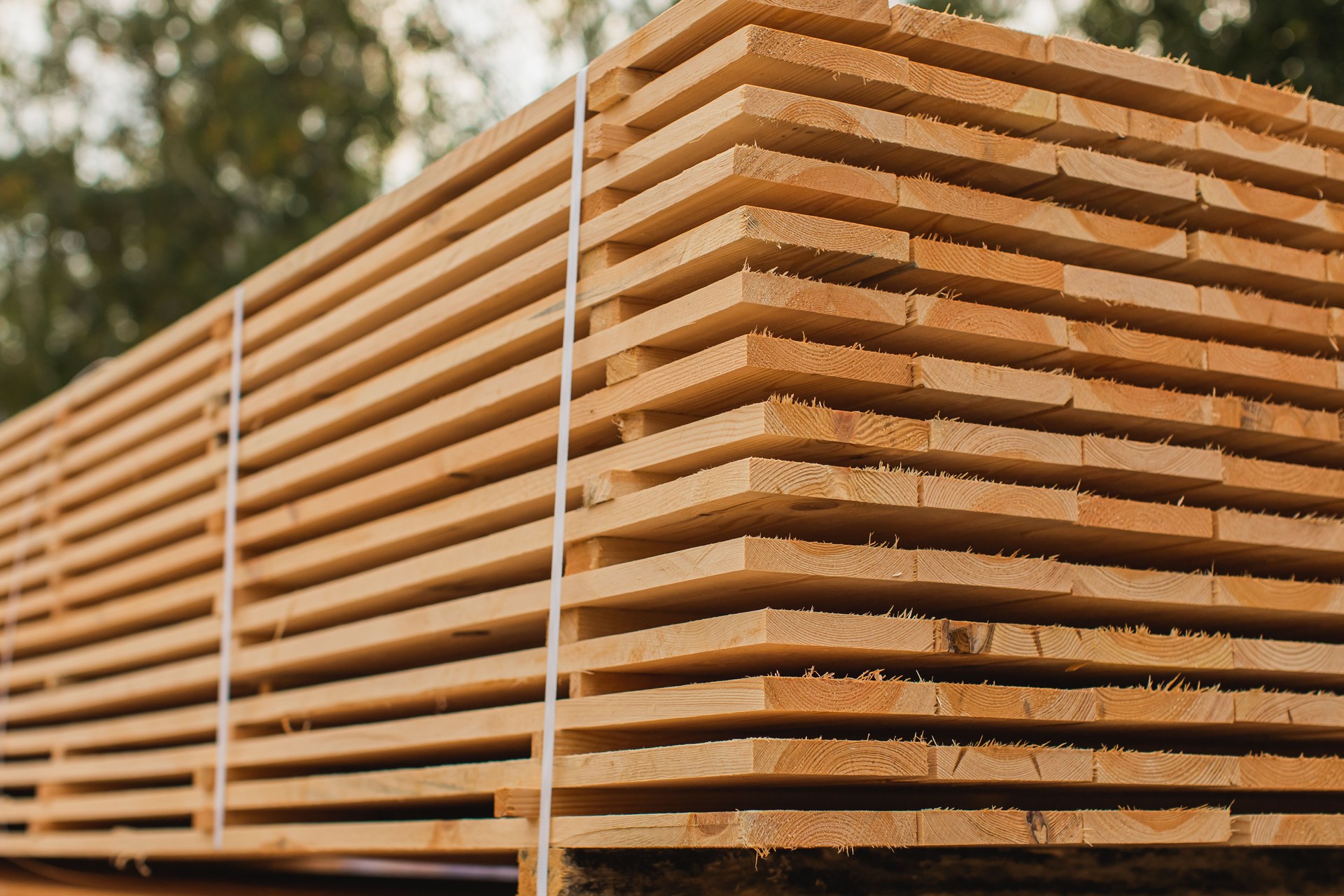 Plank. Sawmill. Construction Materials. Wood. Hardware store